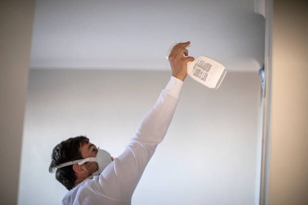 Trusted Hayward, WI Mold Removal Experts